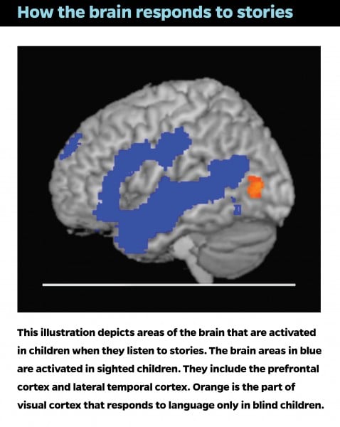 Johns Hopkins Study Reveals Superior Adaptability of Brain's